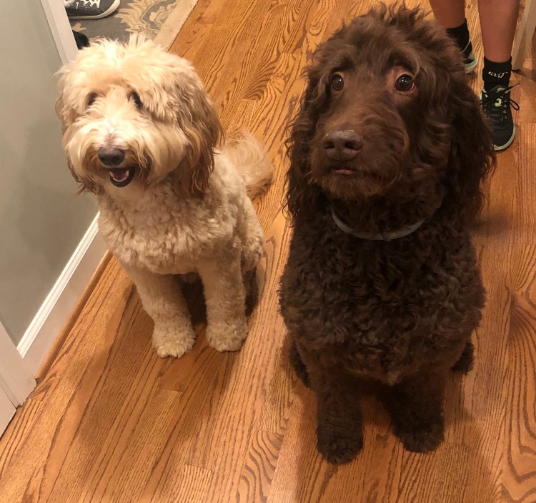 yI7XZLxiQ+ONrzPlj+Cv7Q